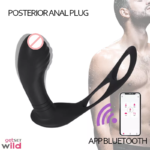 Posterior Anal Plug With Massager