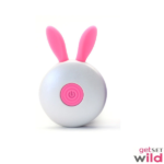 Small Rabbit Dildo With Wireless Egg Remote - Image 6